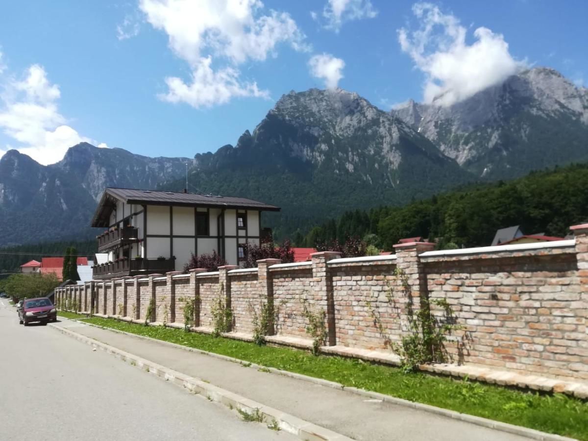 Гостевой дом VILA NORBE Буштени-14