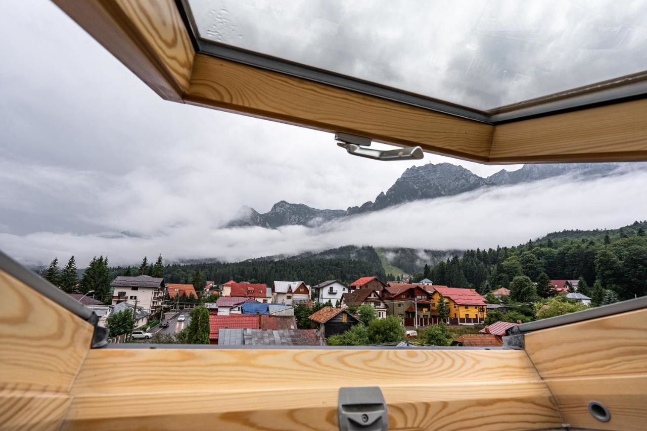 Гостевой дом VILA NORBE Буштени