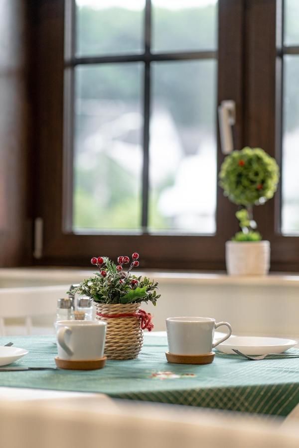 Гостевой дом VILA NORBE Буштени-36