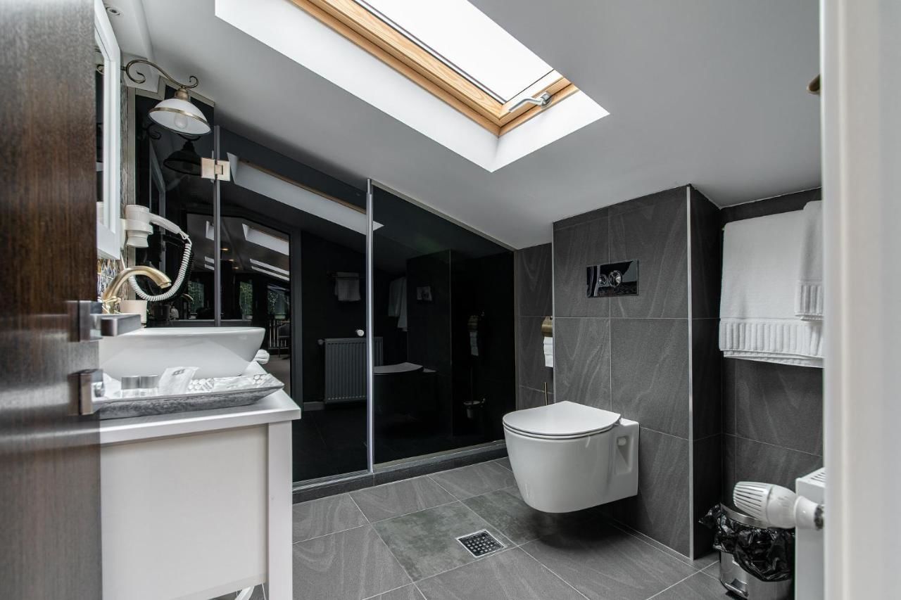 Гостевой дом VILA NORBE Буштени