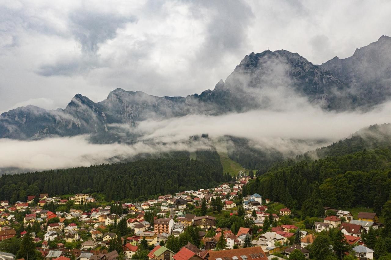 Гостевой дом VILA NORBE Буштени